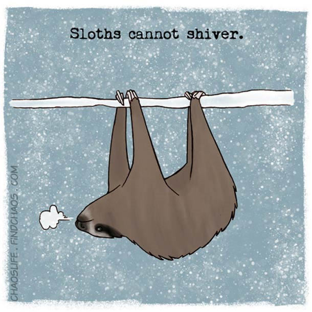 12 Extremely Weird Animal Facts. The Giraffe One Though… Gross.